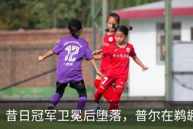 昔日冠军卫冕后堕落，普尔在鹈鹕的尴尬处境